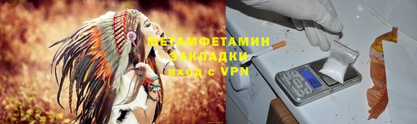 шишки Заволжск