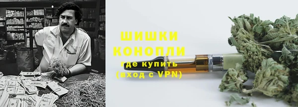 стаф Заводоуковск
