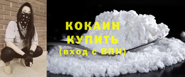 шишки Заволжск