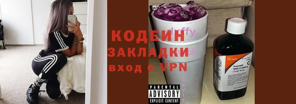 шишки Заволжск