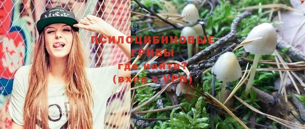 шишки Заволжск