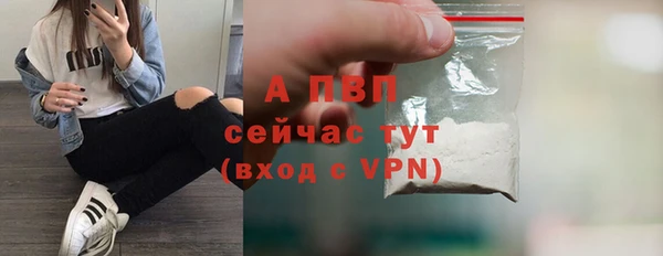 шишки Заволжск