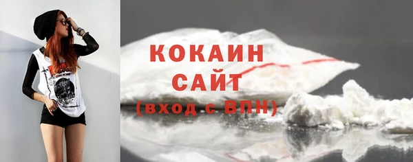 стаф Заводоуковск
