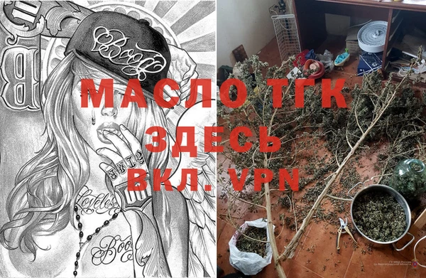 стаф Заводоуковск