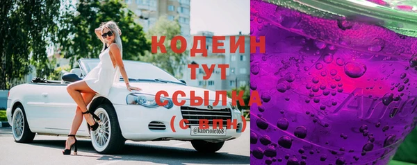 стаф Заводоуковск