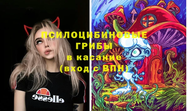 шишки Заволжск
