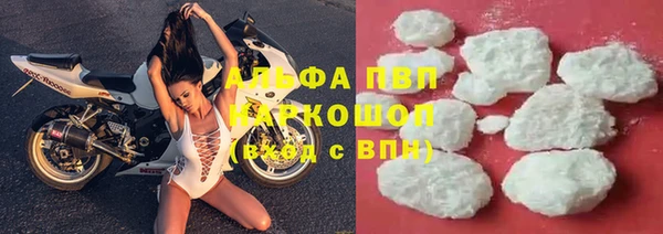 стаф Заводоуковск
