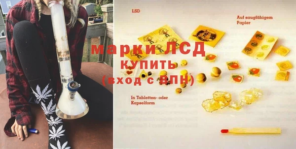 шишки Заволжск