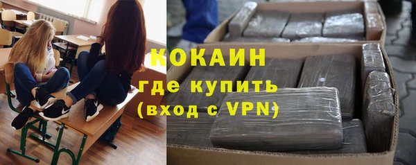 стаф Заводоуковск